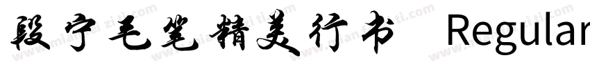 段宁毛笔精美行书 Regular字体转换